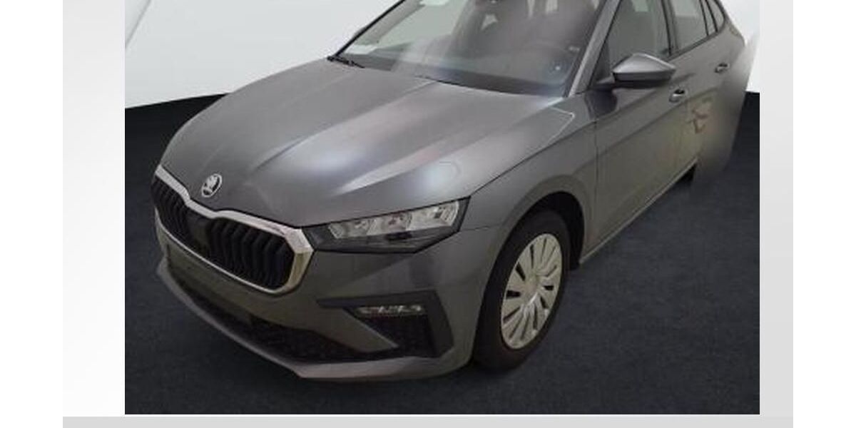 Skoda Scala 24.150 km 20.840 &euro; Lauf an der Pegnitz 91207