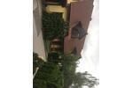 Doppelhaushälfte Hersbruck - 4 Zimmer, 108 m&sup2;, 1.400&euro; | Angebot:27617183