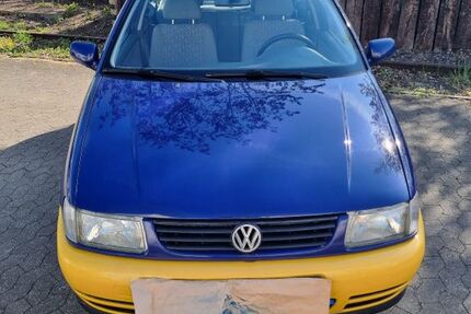 VW Polo