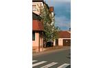 Mehrfamilienhaus, Wohnhaus Roth - 450.000&euro; | Angebot:26504141