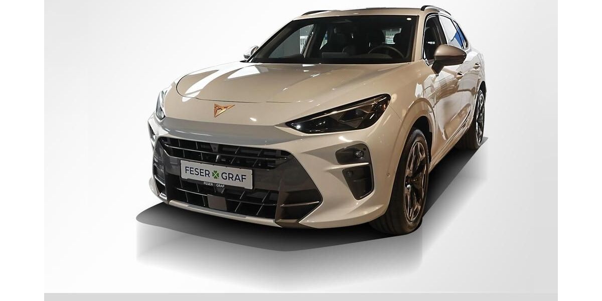 Cupra Terramar 22.000 km 43.890 &euro; Lauf an der Pegnitz 91207