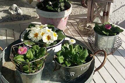 Große und kleine Familien finden hier das ideale Haus 6 zimmer