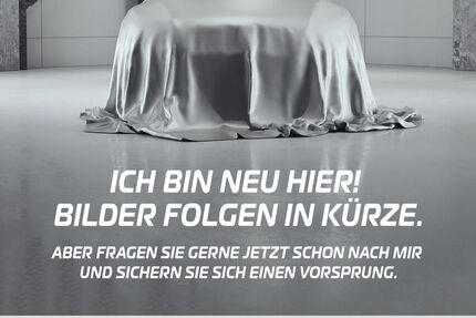 Hyundai IONIQ 51.187 km 19.290 &euro; Lauf 91207