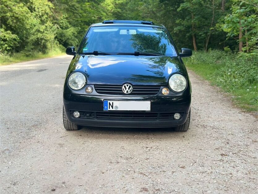 Lupo