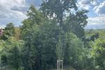 Etagenwohnung Roth - 2 Zimmer, 60 m&sup2;, 802&euro; | Angebot:26910507