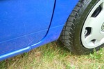 Lupo