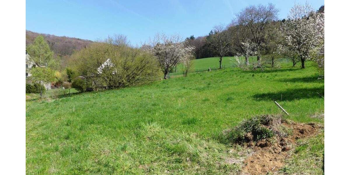 Grundstück Reichenschwand Leuzenberg - 325.000&euro; | Angebot:25749218