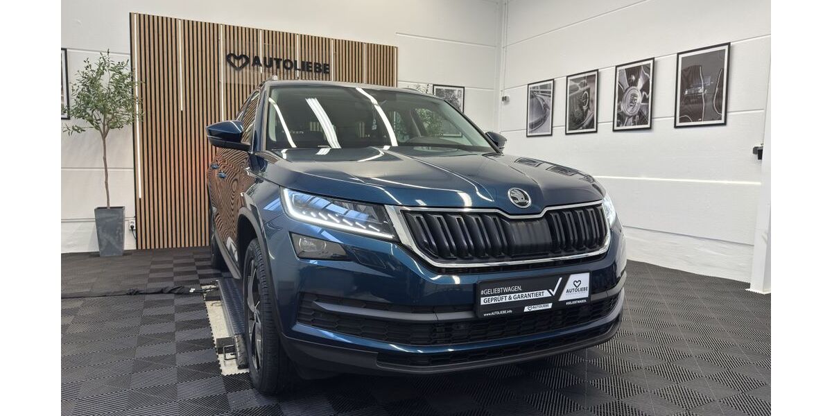 Skoda Kodiaq 108.993 km 26.890 € Wendelstein 90530