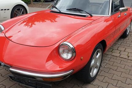 Alfa Romeo Spider