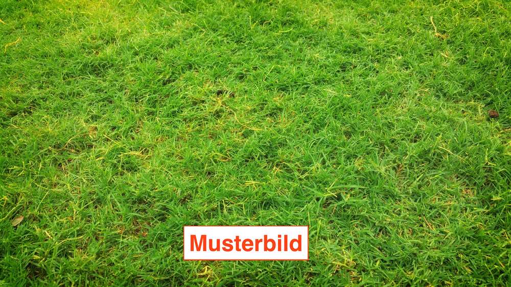 Grundstück Erlangen Bruck - 515.000&euro; | Angebot:26905724
