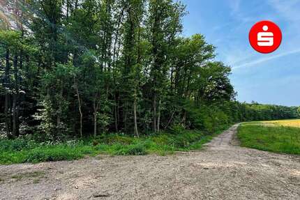 Grundstück Altdorf - 123.000&euro; | Angebot:25199057