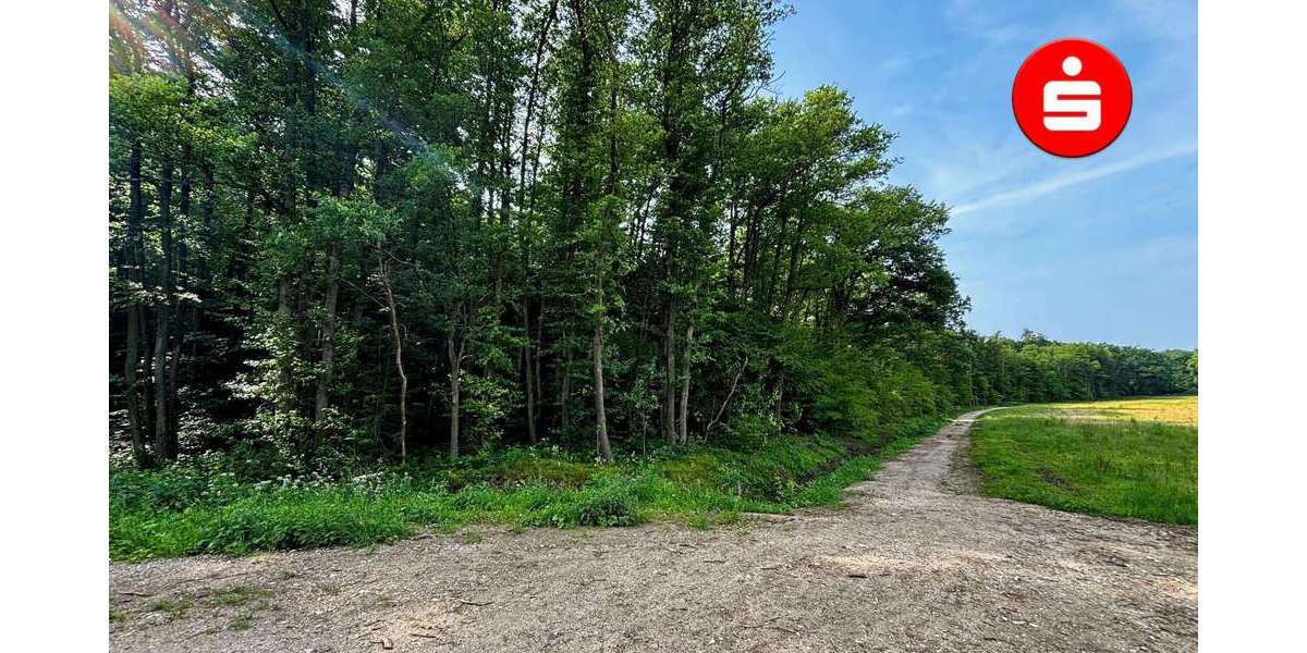 Grundstück Altdorf - 123.000&euro; | Angebot:25199057