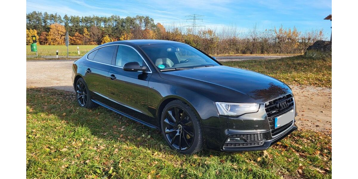 Audi A5 117.000 km 18.500 &euro; Igensdorf 91338