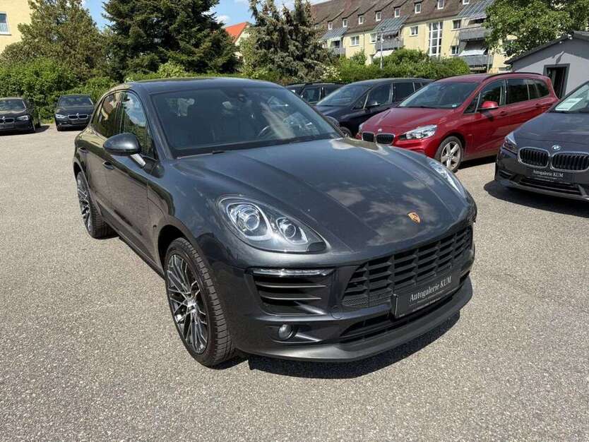 Macan