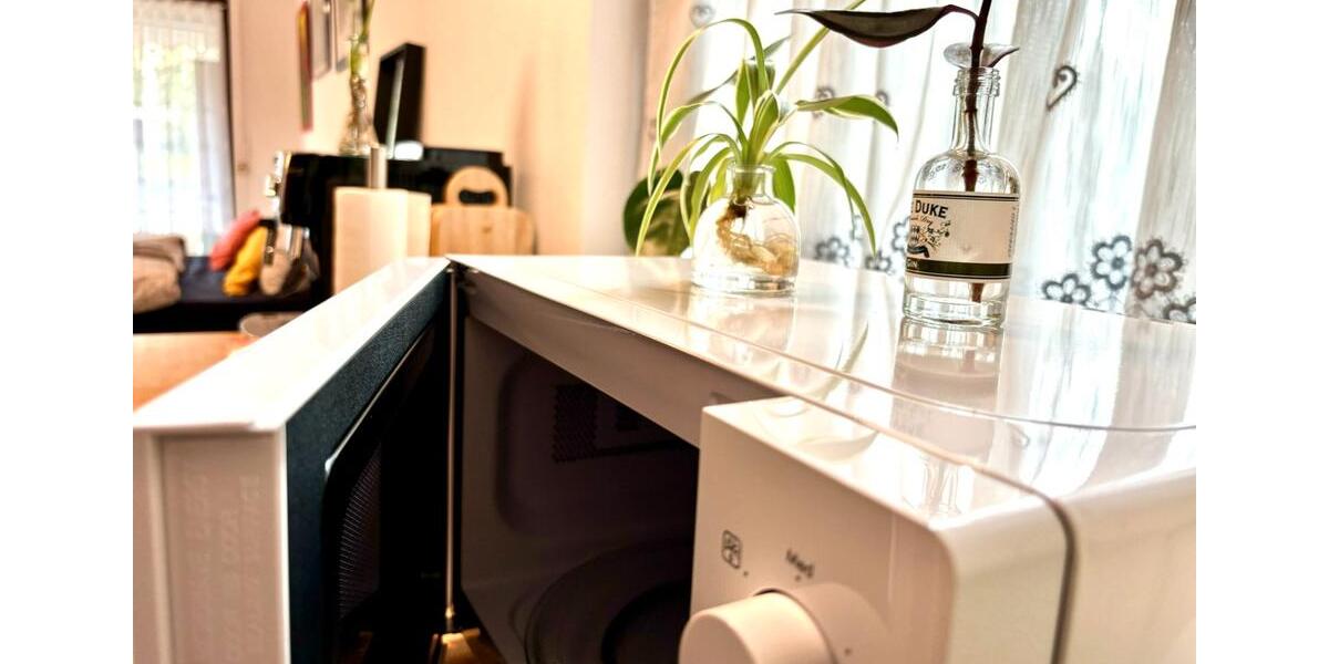 Hochparterre Nürnberg Erlenstegen - 1.5 Zimmer, 44 m&sup2;, 715&euro; | Angebot:26400480