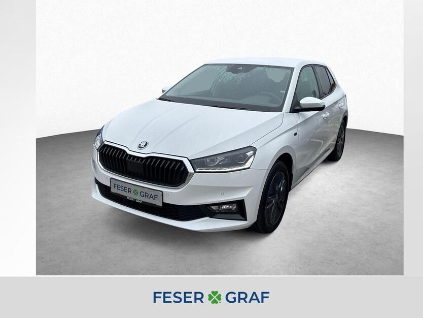 Skoda Fabia 2.900 km 20.960 € Roth 91154