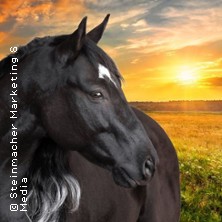 OSTWIND live - Zusammen sind wir frei 02.05.2026 Festplatz Buch