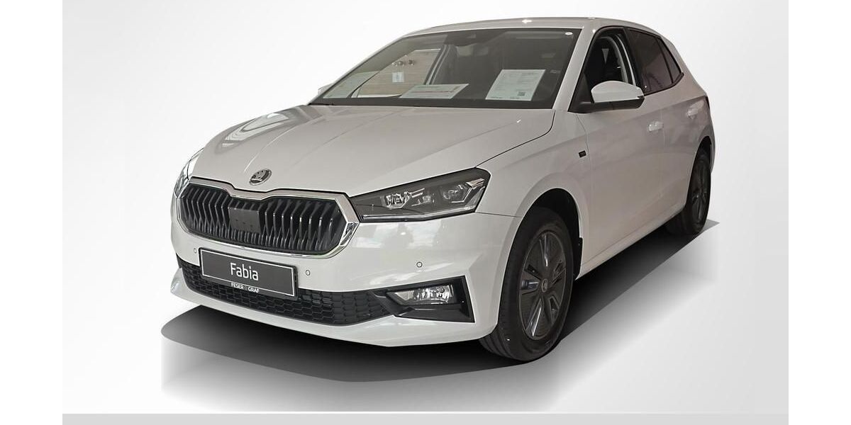 Skoda Fabia 4.800 km 19.440 &euro; Forchheim 91301