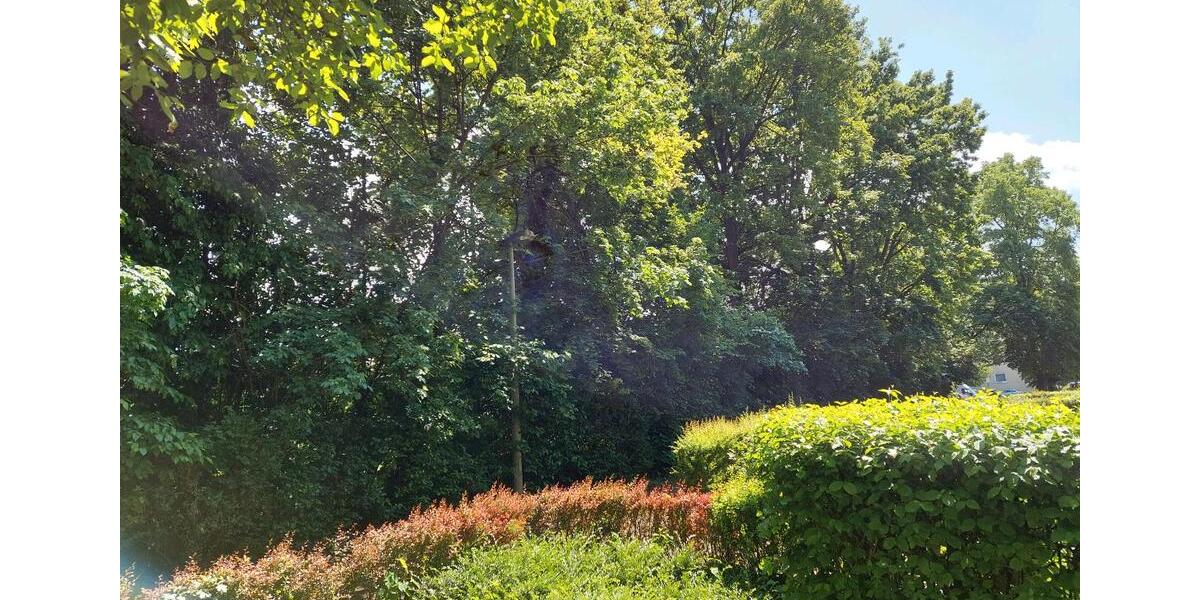 Erdgeschoßwohnung Nürnberg Gebersdorf - 3 Zimmer, 74 m&sup2;, 272.000&euro; | Angebot:27543741