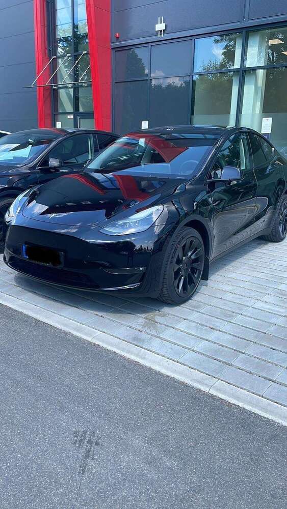 Model Y