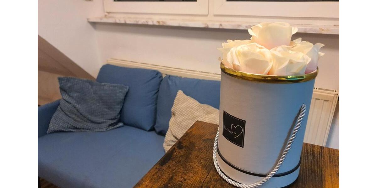 Etagenwohnung Fürth Altstadt - 1 Zimmer, 30 m&sup2;, 490&euro; | Angebot:26303052