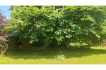 Grundstück Burgthann / Unterferrieden Burgthann - 89.500&euro; | Angebot:26289403
