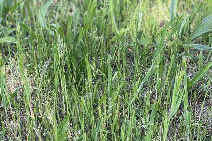 Grundstück Fürth Bislohe - 579.800&euro; | Angebot:25373259