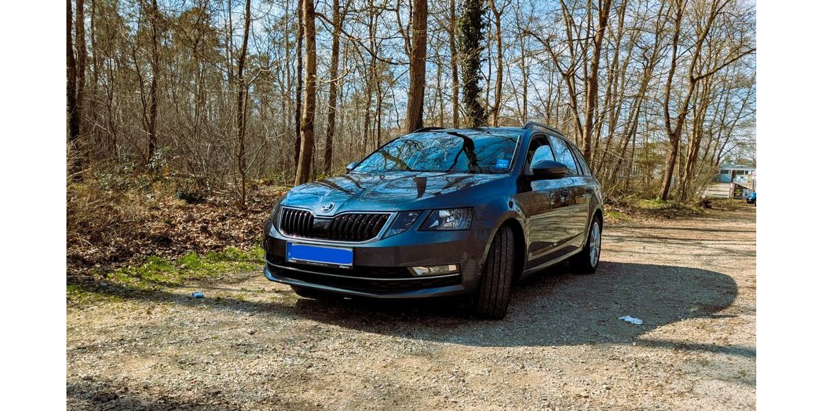 Skoda Octavia 166.500 km 13.900 &euro; Nürnberg 90480