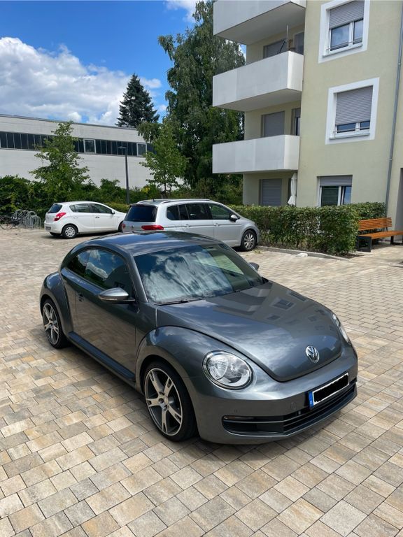 Beetle