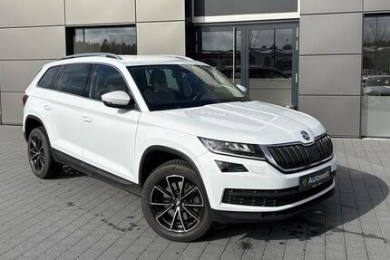 Skoda Kodiaq 107.950 km 24.990 &euro; Roth 91154