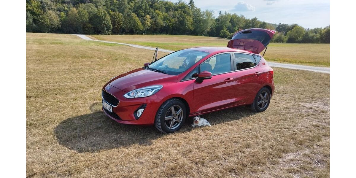 Ford Fiesta 90.500 km 10.500 &euro; Rosstal 90574