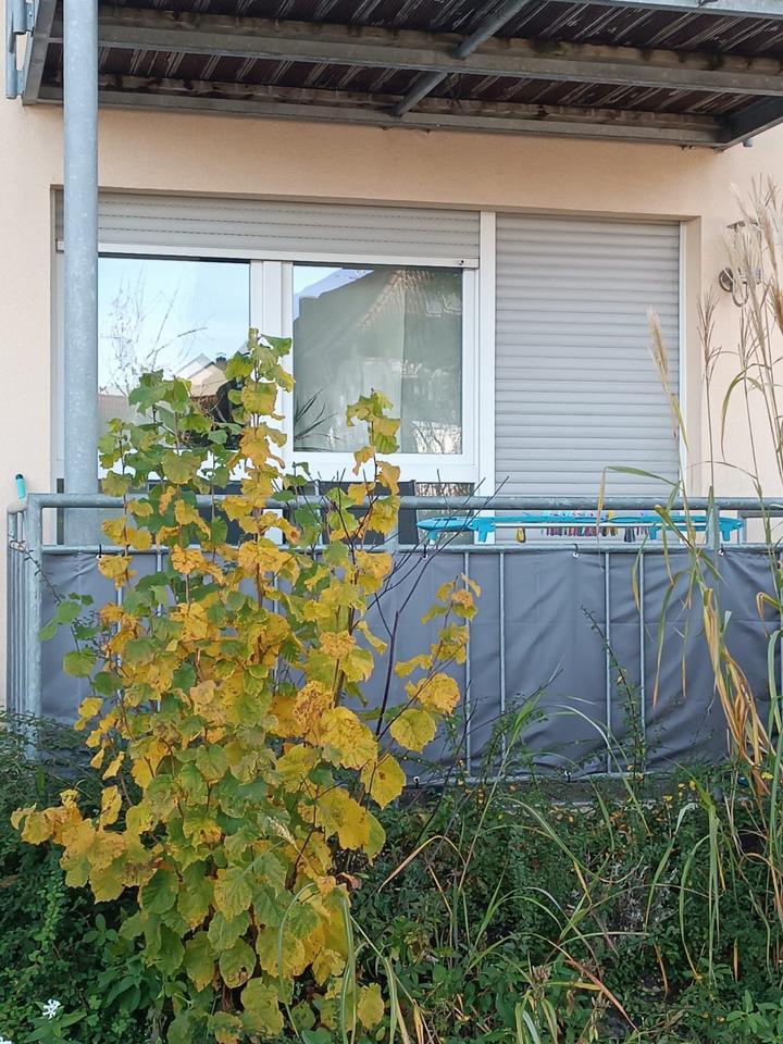 1-Zimmer-Wohnung in SC-Forsthof zimmer