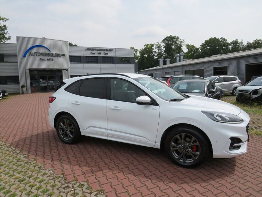 Kuga