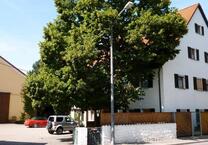 1,5 Zimmer Appartement in ruhiger zentraler Lage