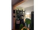 Etagenwohnung Erlangen Am Anger - 1.5 Zimmer, 39 m&sup2;, 800&euro; | Angebot:26420355