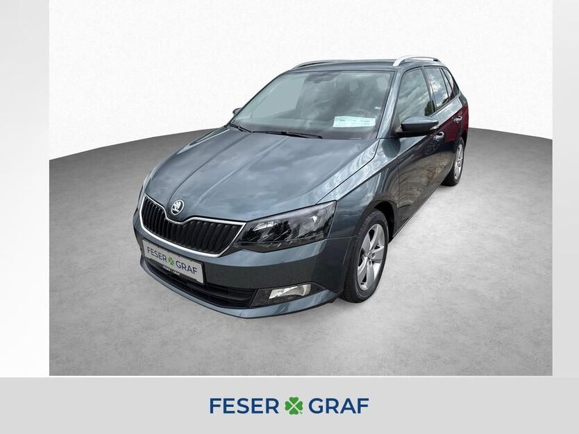 Skoda Fabia 34.900 km 14.390 € Roth 91154