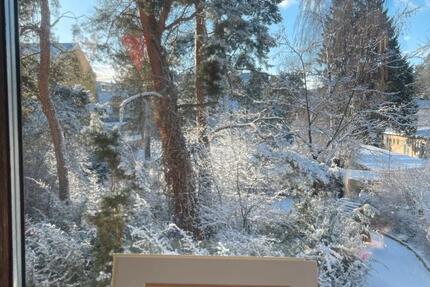 Dachgeschoss Wohnung ab März 2026 1 zimmer