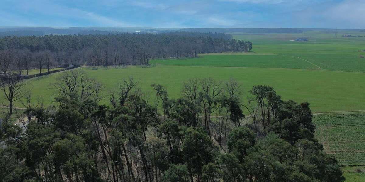 Einfamilienhaus Stein bei Nürnberg - 7 Zimmer, 154 m&sup2;, 698.000&euro; | Angebot:25820966