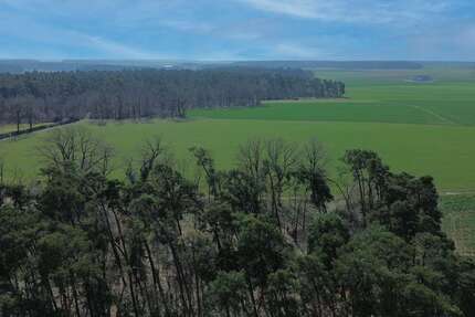 Haus Stein bei Nürnberg - 7 Zimmer, 154 m&sup2;, 698.000&euro; | Angebot:25820966