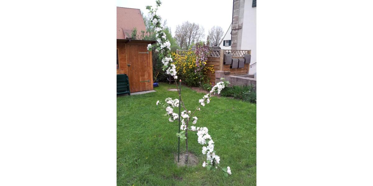 Charmante DG-Maisonette-Wohnung mit exkl. Ausstattung in Bruck 2.5 zimmer