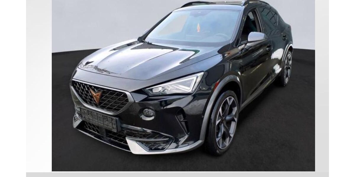 Cupra Formentor 57.550 km 28.503 &euro; Lauf an der Pegnitz 91207