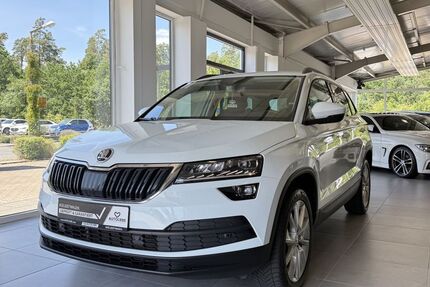 Skoda Karoq 76.599 km 19.990 &euro; Wendelstein 90530