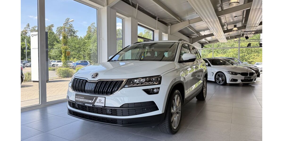 Skoda Karoq 76.599 km 19.990 &euro; Wendelstein 90530