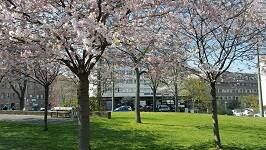 Etagenwohnung Nürnberg Rosenau - 1 Zimmer, 164.500&euro; | Angebot:26627640