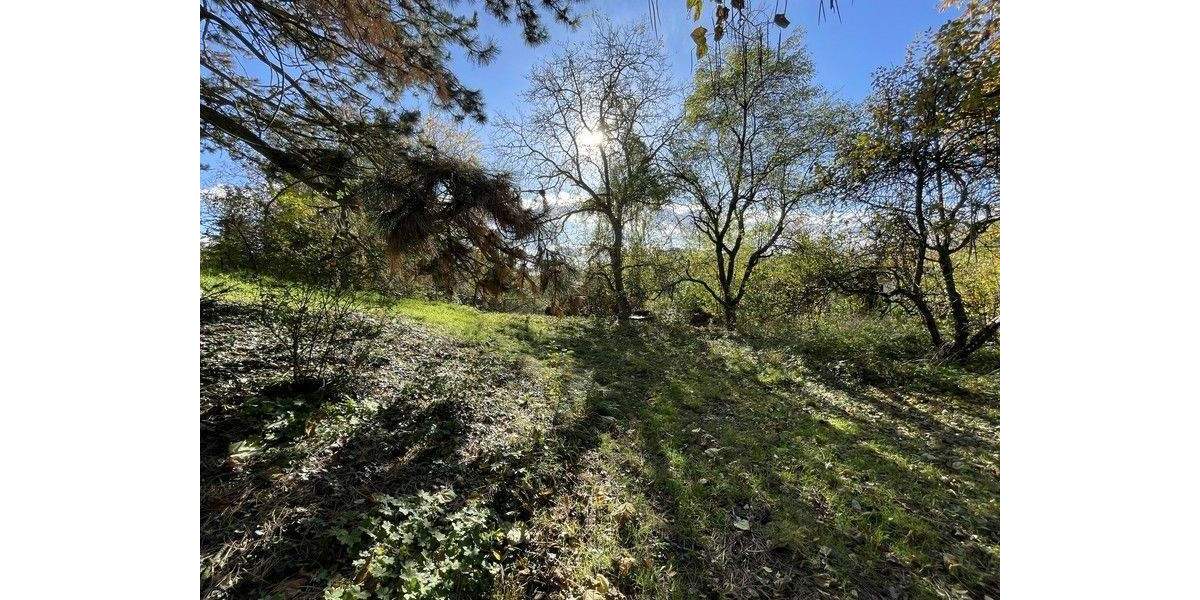 XXL-Traumgrundstück am Wiesengrund (Sanierungsobjekt oder Neubebauung) in Fürth-Espan 7 zimmer