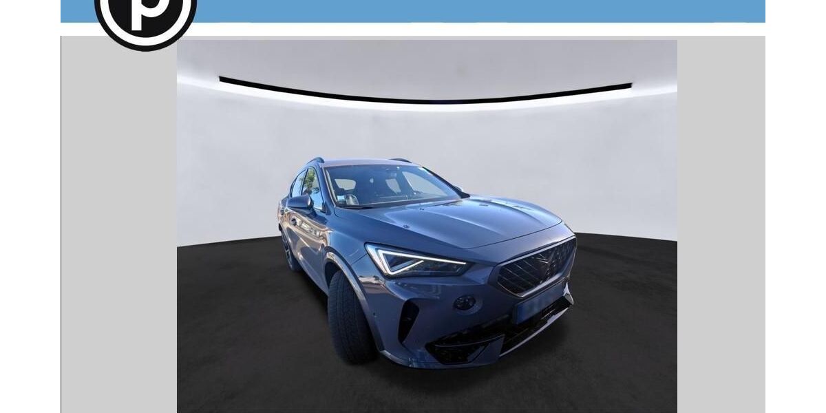 Cupra Formentor 59.150 km 24.706 &euro; Fürth 90762