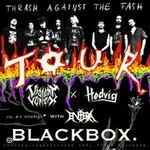 Trash against the Fash