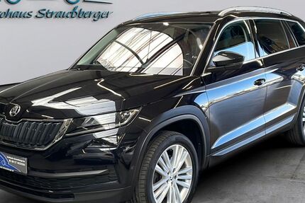 Skoda Kodiaq 129.000 km 23.290 &euro; Buchschwabach bei Nürnberg 90574