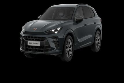 Cupra Terramar 15.000 km 40.990 &euro; Fürth 90763