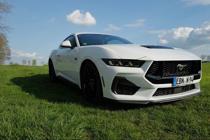 Ford Mustang 23.500 km 51.000 &euro; Nürnberg 90475